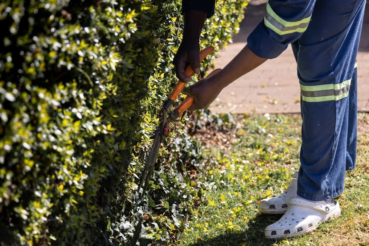 Landscaping & Gardening